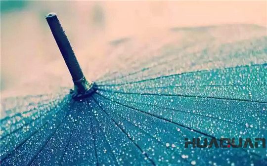 五月的雨，灑遍濰坊，鮮活了一座城，清新了城里的華全人