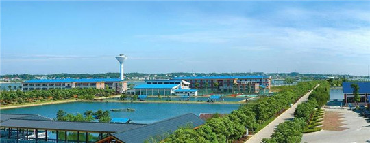 專業巡檢，熱心服務!華全發電機組助力養殖企業溫暖過冬!